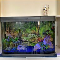 fish tanks for sale