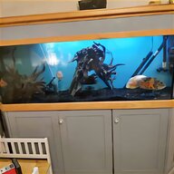 complete marine aquarium for sale