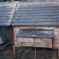 duck shed for sale