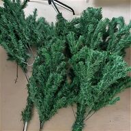 tree branches for sale