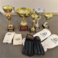karate trophies for sale