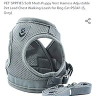 chihuahua puppy harness for sale