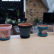 terracotta pots for sale