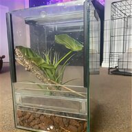nano aquarium for sale