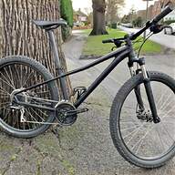 specialized p1 for sale