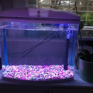 50l fish tank for sale