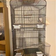 cage bird drinkers for sale