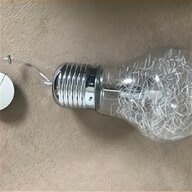 unusual bulbs for sale