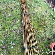 willow cuttings for sale