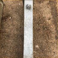 telescopic security post for sale