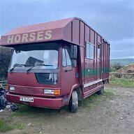 oakley horsebox for sale