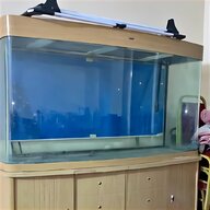 saltwater tank for sale