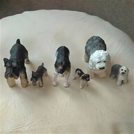 spaniel puppies for sale
