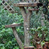 bonsai table for sale