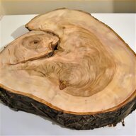 wood slices for sale