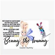 bunny for sale