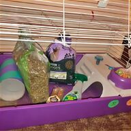 guinea pig cage for sale