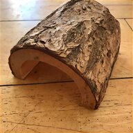 birch bark for sale