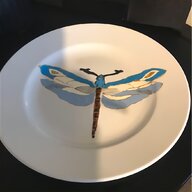 butterfly taxidermy for sale