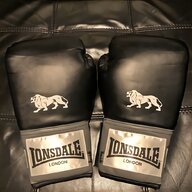 sandee boxing gloves for sale