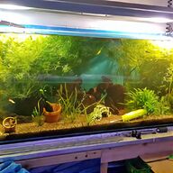 large aquarium fish tank for sale