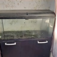 fish tank unit for sale
