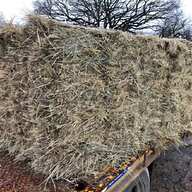 haylage for sale