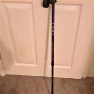 hiking stick for sale