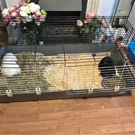 extra large rabbit hutch for sale