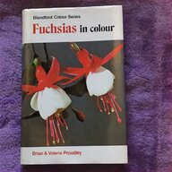 fuchsia books for sale