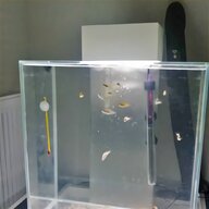 aquarium glass for sale