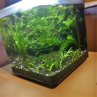 mini fish tank for sale