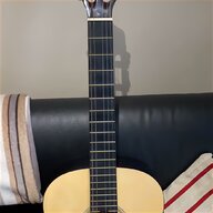 shergold guitar for sale