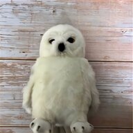 hedwig for sale