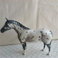 appaloosa horses for sale