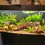 juwel fish tank filters for sale