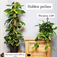 artificial outdoor plants for sale