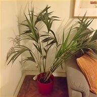 artificial potted plants for sale