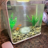 bio orb fish tank for sale