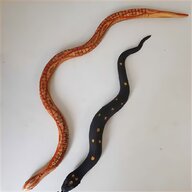 rubber snake for sale