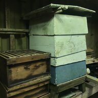 honey bee hives for sale