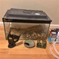 clearseal tank for sale