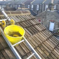 cambrian roof for sale
