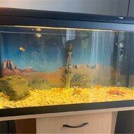 fish tank equipment for sale