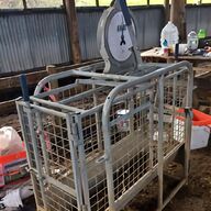 sheep weigh crate for sale