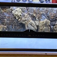 gecko terrarium for sale