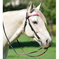 western bridles for sale