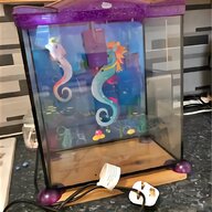 seahorse aquarium for sale