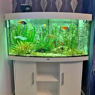 aquarium setup for sale