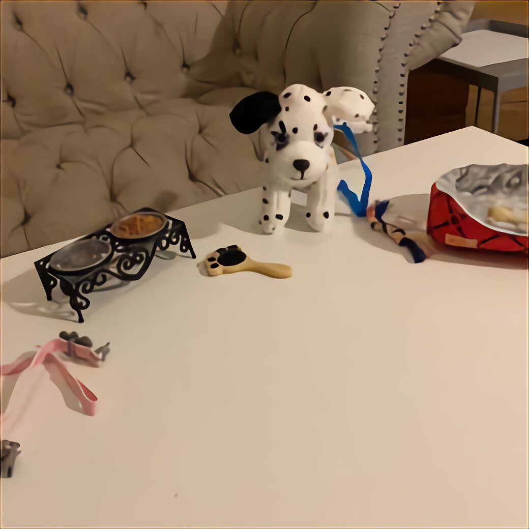Toy Dalmatian Puppies for sale in UK View 20 bargains